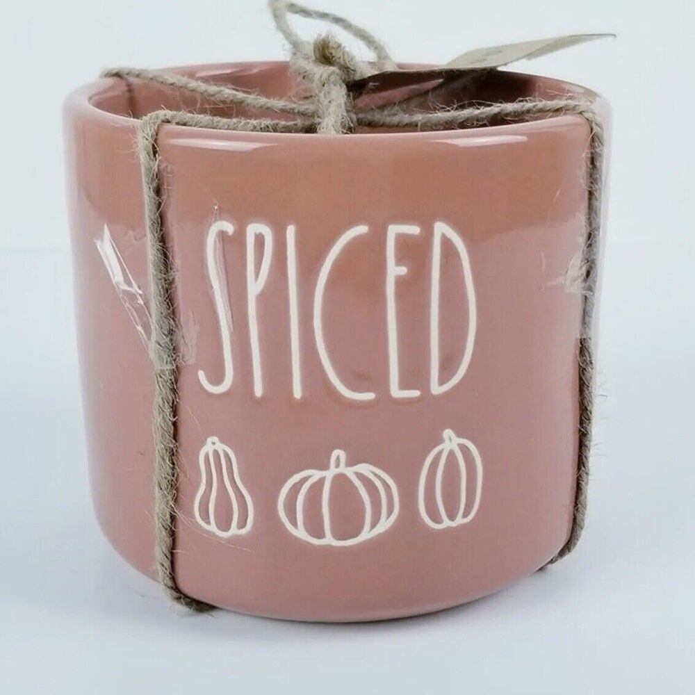 Rae Dunn Spiced Planter Flower Pot 4" Tall